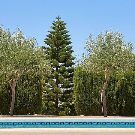 Detached Holiday House, 2 Bedrooms, Private Garden, Pool Alhaurín de la Torre Kültér fotó